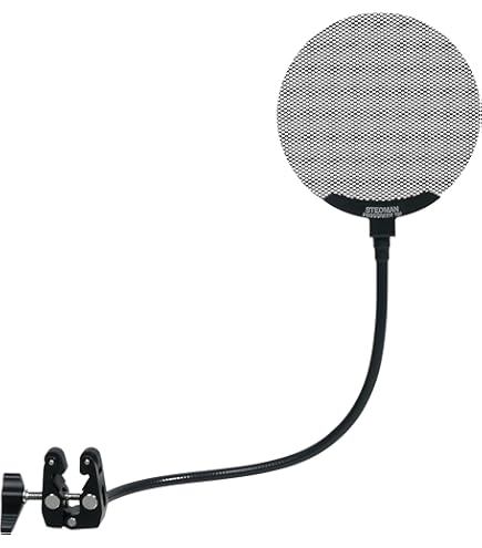 Audio Technica AT4033a Cardioid Condenser Microphone : Amazon.in