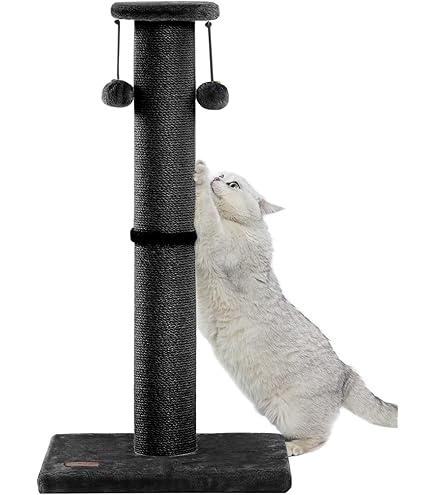 Cat Stuff Gothic Cat Scratching Post With Spider Web Floor