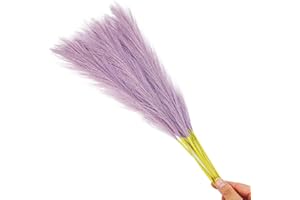 Whakano 20 Stück Boho Künstliches Pampasgras,Künstliche Pflanzen,Pampasgras Deko,für Schlafzimmer Deko,Wohnzimmer,Hochzeitsdekoration,Party,Tischdeko,Fotografieren Schießen,Lila