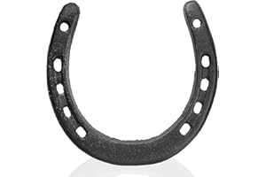 QTMMC Black Cast Iron Horseshoe Wall Decor Metal Horse Shoe Wedding Gift Art Hanging Ornaments Western Rustic Feng Shui Good Luck Charm Indoor Outdoor Garden Shed Farmhouse Home Accessories, 11.7 x 11 cm