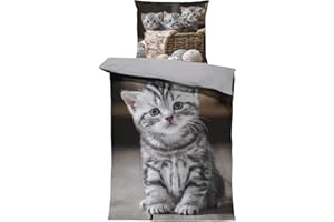one-home Bettwäsche 135x200 cm Mikrofaser Bettbezug Fotodruck modern weich und kuschelig für Sommer und Winter geeignet, Farbe:Katzen grau, Größe:2 teilig 135x200 cm