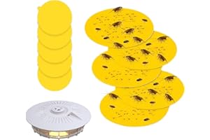 UNISOPH Lot de 12 recharges de pièges à puces circulaires de 12 cm de diamètre - Pour maison d'animaux domestiques, tapis, salon, chambre à coucher, couloir, jardin, maison