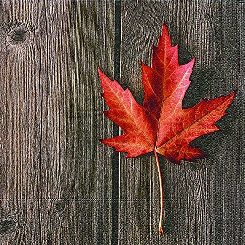 Cocktail Napkins Serviett 25 x 25 cm (Lonley Flower Leaf) Colourful Leaves Tree Leaves Bright Colours