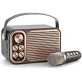 Altoparlante Bluetooth, ALPOWL Soundbar con aspetto radio retrò, Altoparlante wireless portatile con sistema di altoparlanti 