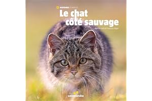 Le chat côté sauvage