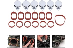 EVGATSAUTO Swirl Flap, 6 X 33mm Swirl Flap Blanks Bungs Intake Packningar Kit för 320d 330d 520d 525d 530d 730d