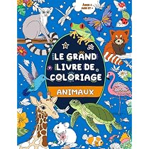 Livre de coloriage dinosaure pour les enfants: cahier de coloriage enfant 4 à 8 ans, 50 dessins magique dinosaures de qualité original à colorier pour les garçons et les filles. (French Livre de coloriage dinosaure pour les enfants: cahier de coloriage enfant 4 à 8 ans, 50 dessins magique dinosaures de qualité original à colorier pour les garçons et les filles. (French