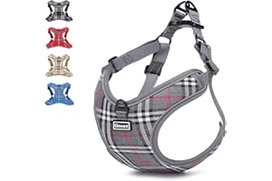 Elevant Pettorina Cane Regolabile Riflettente, Step-in Pettorina Traspirante per Cani, Gilet Morbido Imbottito Petto Imbracatura Cane Pettorina per Cani (S, Grigio)