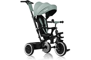 LIONELO Berry triciclo e passeggino multifunzione da 9 mesi a 5 anni fino a 25 kg, ruote in poliuretano di grandi dimensioni, sedile girevole a 360°, montaggio senza attrezzi