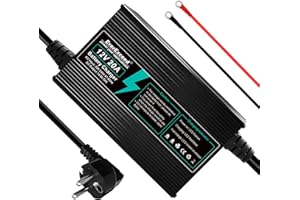 EVEREXCEED 20A Carica Batteria Lifepo4 12V Caricabatterie al Litio AC-DC Caricabatteria, Caricabatterie Lifepo4 Automatico Intelligente e Mantenitore per Litio Lifepo4 Deep Cycle batteria di auto RV Marine