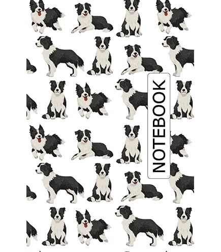 Carson The Chow, Akita, Husky, Border Collie Mix