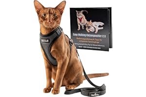 Beroni® Katzengeschirr mit Leine ausbruchsicher – Katzen Geschirr Set mit Leine | Verstellbares Brustgeschirr für große & kleine Katzen | Katzengeschirr Outdoor für Balkon, Garten (Grau + Leine, S)