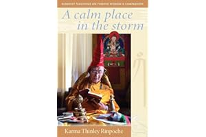 A Calm Place in the Storm: Buddhist Teachings on Finding Wisdom and Compassion