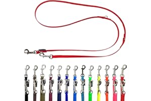 Biothane Hundeleine kleine Hunde/große Hunde verstellbar 2m / 2,40m / 2,80m / 3,50m / 5m SILBERNER Haken 9mm / 13m,m / 16mm (2,80m X 9mm, Rot)