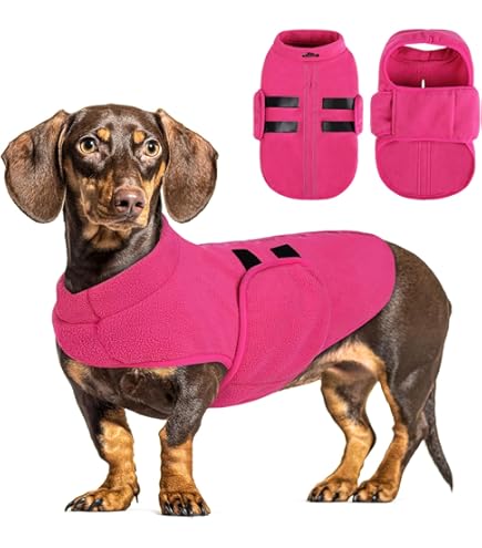 Sweater Sausage Dog Pink - L: 16 cm x l: 7 cm x h: 14 cm: Amazon