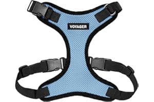 Best Pet Supplies Voyager Step-in Lock Pet Harness - All Weather Mesh, Adjustable Step in Harness for Cats and Dogs Baby Blue/Black Trim, XS