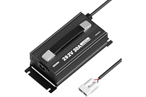 Redodo 29.2V 20A LiFePO4 Caricabatterie Litio, Caricabatterie AC-DC a Carica Rapida, Adatto per Batterie Litio Ferro Fosfato da 24V, Indicatori LED e 4 Funzioni di Protezione