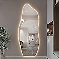 Generic Full Length Mirror Standing Hanging or Leaning Against Wall Large Bedroom Mirror Floor Mirror Dressing Mirror Wall-Mounted Mirror Wood Frame Round 3 Color LED Light 70 * 165cm, 4242042