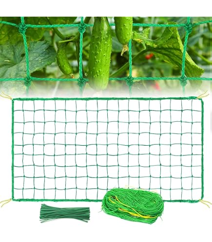 Rete Elastica Per Arrosti E Salumi In Poliestere 12 QD 5 Batt. » Mondocarta