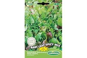 Germisem Baby Leaf Spicy Mix Semillas de Lechuga 2 g, EC6024