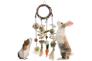 ERKOON Kaninchen Spielzeug, Rabbit Toy Kaninchenspielzeug Beschäftigung,Hasen zubehör Käfig Hängende Kauspielzeug, Hamster, Meerschweinchen