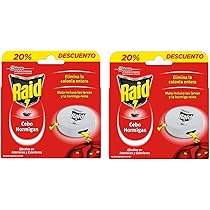 Banderuola Gallo In Ferro Battuto - Segnavento Con Punti Cardinali 125x75 Cm - Foto 9