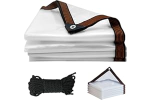 QUIIEOSKIA 2M x 3M Large Clear Tarpaulin Waterproof Heavy Duty Tarps, Transparent Waterproof Tarpaulin Sheet, Tarp Cover with Eyelets for Garden Outdoor Camping Shed Chicken Rabbit Hutch Cover, with 5M Rope