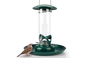 Wildlife Friend I Mangeoires pour Oiseaux Sauvages pour Graines avec Assiette De Nourriture XL - Mangeoire Oiseaux avec Sation Alimentaire Premium, Mangeoire Oiseaux Exterieur Imperméable.