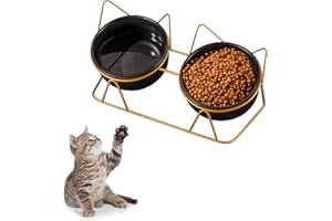 Vyuwast Cat Bowl Set of 2, Raised kitten Bowl with Stand Tilted Double Ceramic Angled Cat Water Food Bowl Feeding Station Anti Vomiting No Spill Pet Bowls for Whisker Fatigue Kitten Small Dog