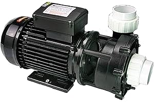 LX WP250-II 2 Speed Pump Hot Tub Spas Whirlpool Bath Waterway Replacement