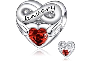 FOREVER QUEEN Women's Heart Birthstone Charm for Bracelet 925 Sterling Silver Heart Infinity Charms Bead, Birthday Gift With Jewelry Box