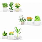 Lifewit Window Plant Shelves, 3 Pack 15 Inch Floating Shelves for Indoor Succulent Plants and Miniature Vegetables, Shelves w