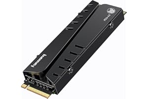 fanxiang SSD 1TB-NVMe M.2 2280 PCIe 4.0, hasta 7400 MB/s, Disco Duro ssd 1tb, con disipador de Calor, configurar DRAM, Compatible con PS5 Laptop Desktop PC