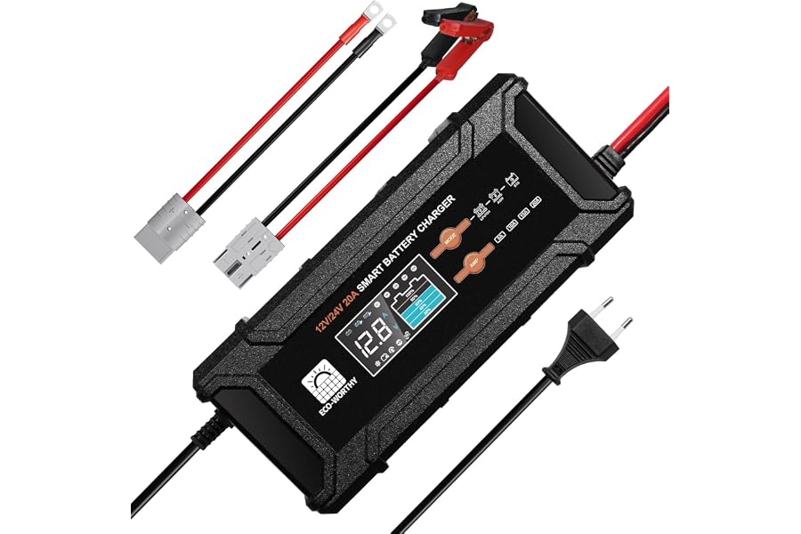 ECO-WORTHY 12V/24V 20A Cargador de batería LiFePO4 con Detección Automática | Multi-corriente 5A-20A, detección automáti