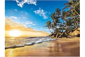 DCIDBEI Manualidades adultos playa,pintura 5d diamante,5d diamond painting pintura por número cuadros punto de cruz diamante manualidades decoración de la pared para el hogar 40x30cm