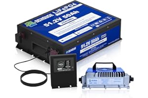‎DCHOUSE DCHOUSE 48V 50Ah Lithium Batterie,Mit Bluetooth 2C 100A BMS Mini Golf Cart Batterie mit 18A Ladegerät, Batterie Monitor, Niedertemperatur Abschaltung, Metallgehäuse, für Golf Carts