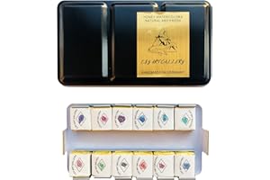 Csy Art Gallery Pinturas de acuarela metálicas Brillo hecho a mano Pintura sólida brillante Incluye 12 colores de color de agua en caja de lata portátil para artistas, profesionales