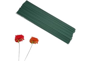 JINSION Blumendraht Set - 100 Stück, 30 cm, Grün, Blumensteckdraht für Floristik, Blumenarrangements