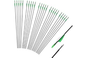 iMeshbean Fieberglaspfeile Pfeile für bogenschießen, 25 Stück Bogenpfeile Erwachsene 31 Zoll Fiberglaspfeil Jagdpfeile für Bogen, Recurvebogen, Sportbogen