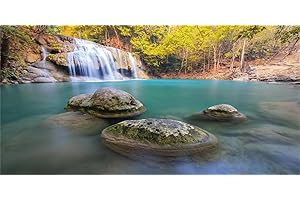 MIRRORANG 120x61cm Fond de Terrarium de Cascade de Vinyle Durable Fond d'aquarium Tropical Arbres lac Pierre Fond d'habitat de Reptile Rocheux