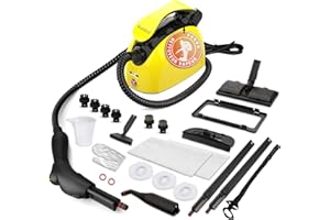 Waitbird nettoyeur vapeur multifonction avec 21 accessoires, réservoir d'eau de 38 oz, haute température de 248 °F – Pour sols, tissus d'ameublement, fenêtres, voiture et ménage