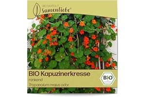 Samenliebe BIO Kapuzinerkresse Samen alte Sorte rankend 10 Samen samenfestes Blumen Saatgut für Garten Freiland und Balkon BIO Blumensamen