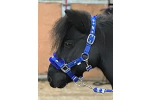 Equipride Collier en nylon rembourré avec cordon de plomb Bleu roi