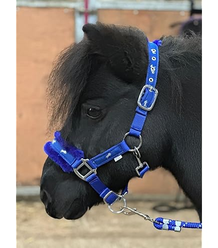 Cavezza Per Cavallo Giocattolo HKM - Set Rosa Per Bambini Che Amano Cavalcare - Foto 7