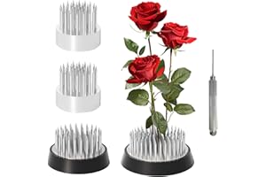 Aweisile Blumenfrosch Rund Halterung 4 Stück Ikebana Kenzan Blumen Frosch Blumenhalter Blumenfrosch Blumenigel Edelstahl Blumenigel Blumensteckigel für Blumenarrangements Kunst Heimbüro Dekoration