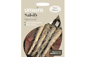 Unwins Pictorial Packet - Salsify Mammoth - 120 Seeds