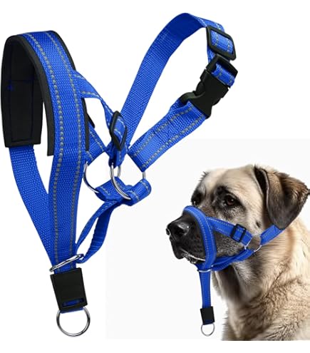 Canny collar - Dierenbenodigdheden online | Lage prijs