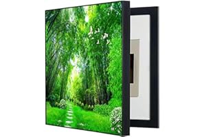 WBBML Pintura Decorativa Caja de Contadores Creativo Tapa Caja Electrica Pintura Tapa Contador Luz Decorativa Aplicable A Muchas Escenas(E,50x70cm)