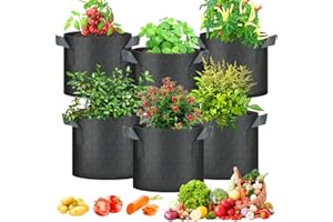 YANGUN 6 Sacs de Plantation, 12L Sacs à Plantes, Non Tissé Sac à Plantes, Sacs de Culture pour Plantes avec Poignées pour Plantation Patate, Carotte, Fraises, Tomates, Fleurs - Noir, 5 Gallons