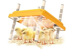 CISSIYOG Chick Brooder Heating Plate,Adjustable Height and Angle Chick Brooder,Safe Incubators Alternative to Heat Lamps and Hens,for Chicks/Ducks Thermostat (10" x 10") for 15 Chicks - Yellow